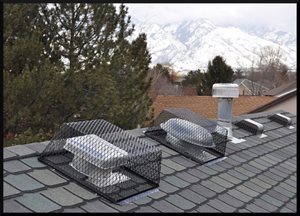 A roof vent guard that excludes squirrels from box vents