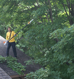 A person trimming tree branches to avoid squirrel usage to get on the roof