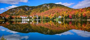 New Hampshire Critter Control Offices