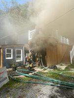 Rodent Caused House Fires