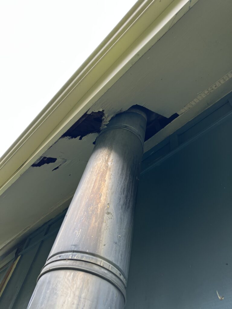 squirrel hole in soffit near drain pipe