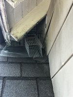 Squirrel Trapping