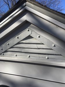 A gable vent sealed to keep squirrels out