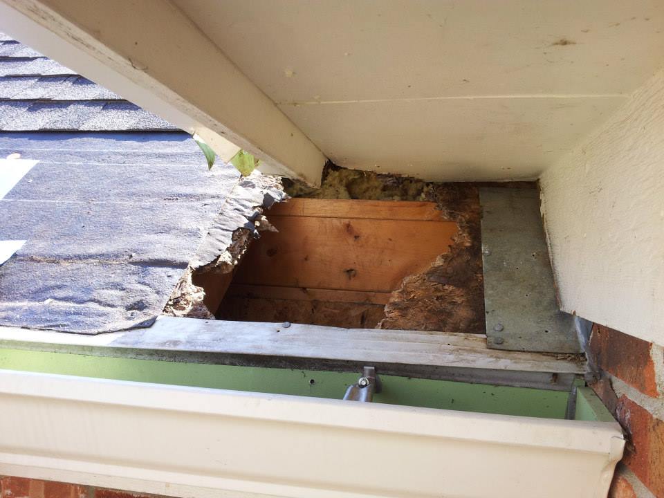raccoon damage and hole under dormer