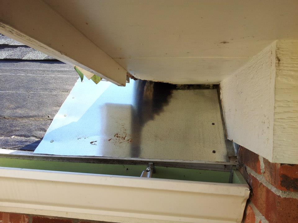 A metal plate is placed over raccoon damage to repair the roof