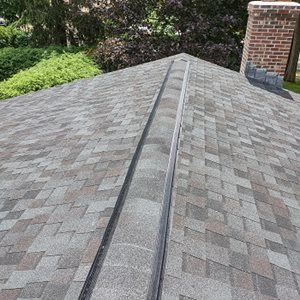Ridge vent exclusion that covers them, blocking squirrel access