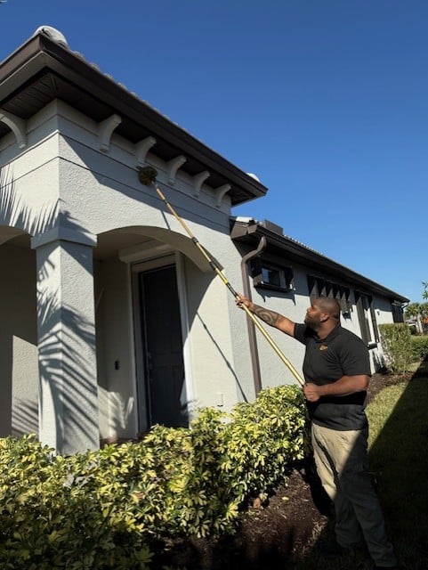 spider control in sarasota