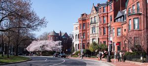 Critter Control in Washington DC